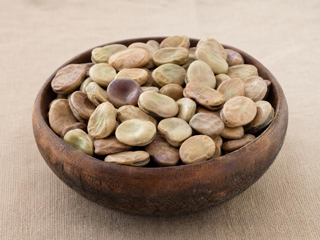 Fava beans (broad beans) in a wooden bowl