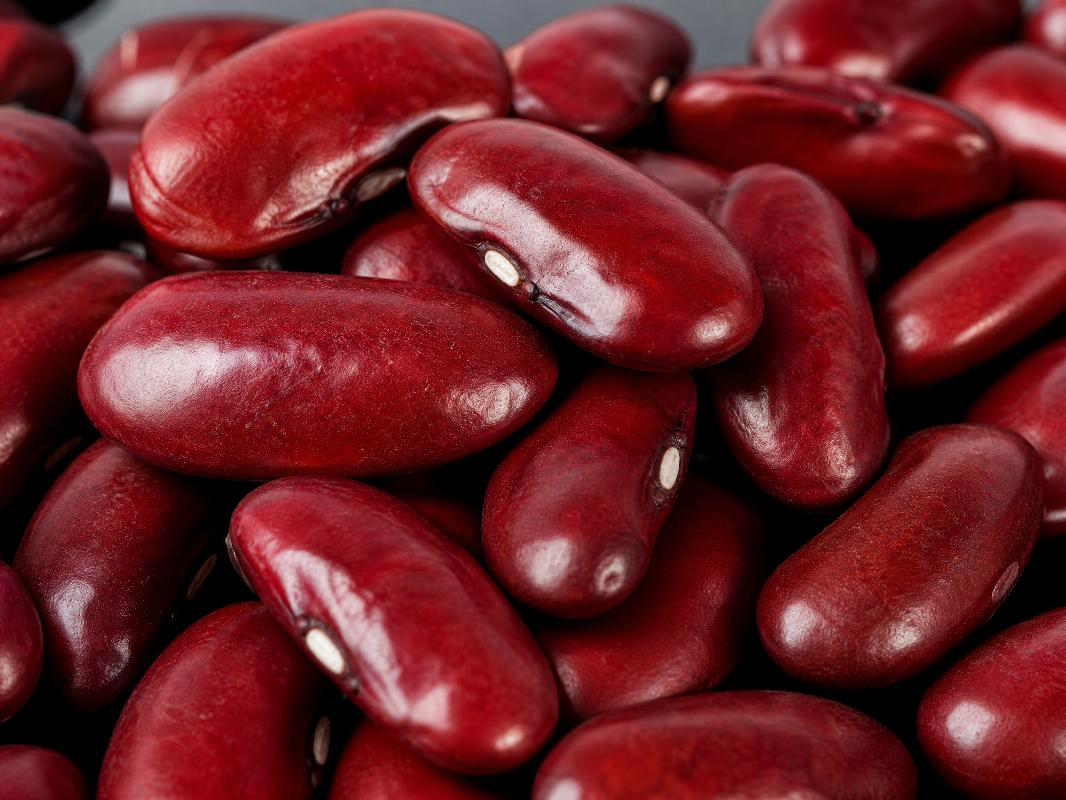Red kidney beans close up